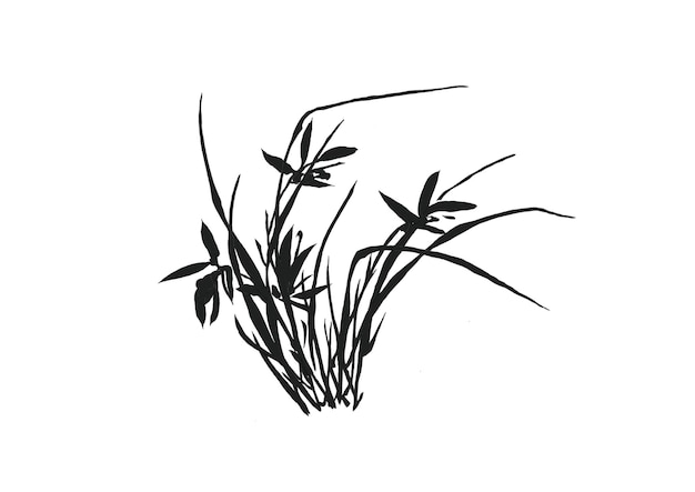 PSD chinesische orchidee schwarz-weiß-silhouette