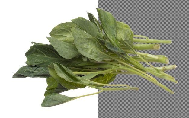Le chou vert vole en l'air, les légumes verts frais tombent, le chou chinois tombe, le légume frais biologique avec des feuilles de chou chinois mangées s'accumulent, la texture est blanche, le fond est isolé, le mouvement de congélation est à grande vitesse.