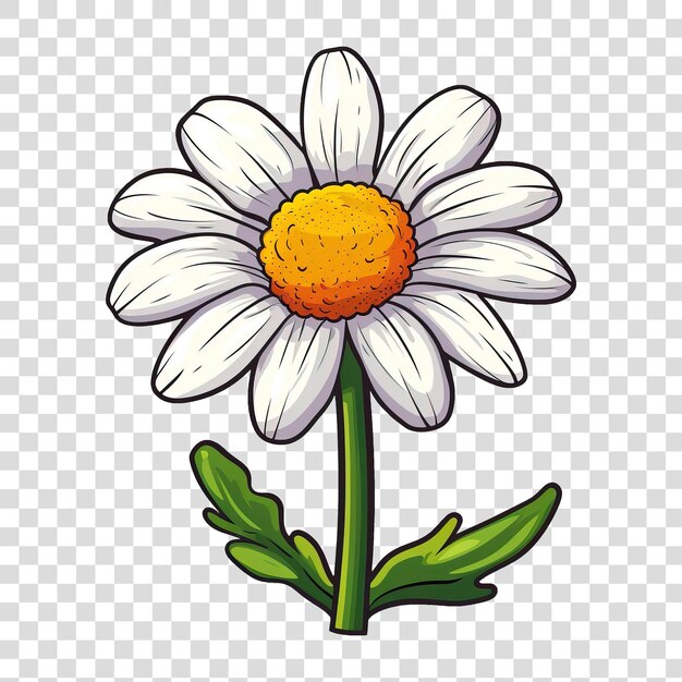 PSD chrysanthemum 2d-illustration isoliert auf durchsichtigem hintergrund png