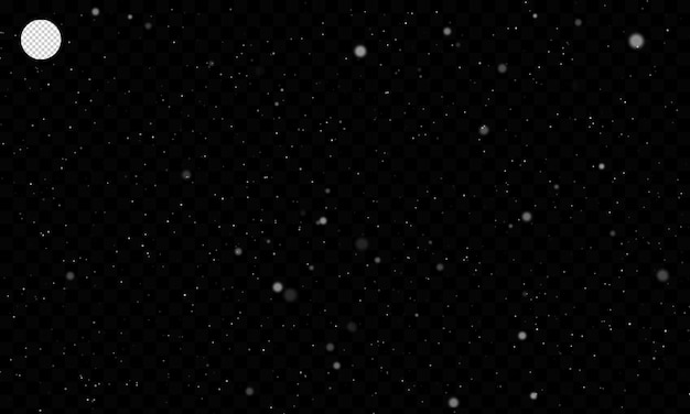 Chutes de neige isolées sur fond noir