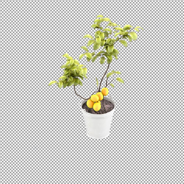 Cierre de flor en un jarrón en 3D rendering