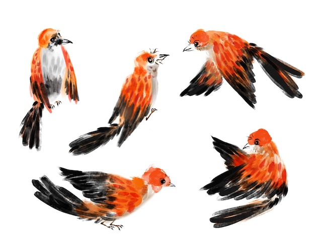 Cinque posizioni dell'uccello, pennello cinese digitale