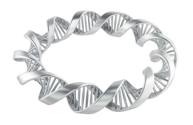 PSD círculo de dna espiral prateado em 3d isolado em fundo transparente