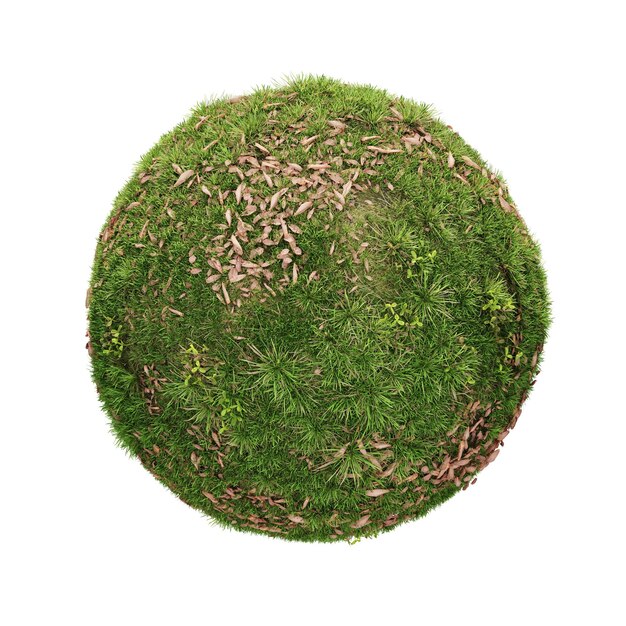 Un círculo de hierba con un círculo de herba en él