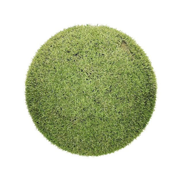 Un círculo de hierba verde se muestra con un círculo de verde