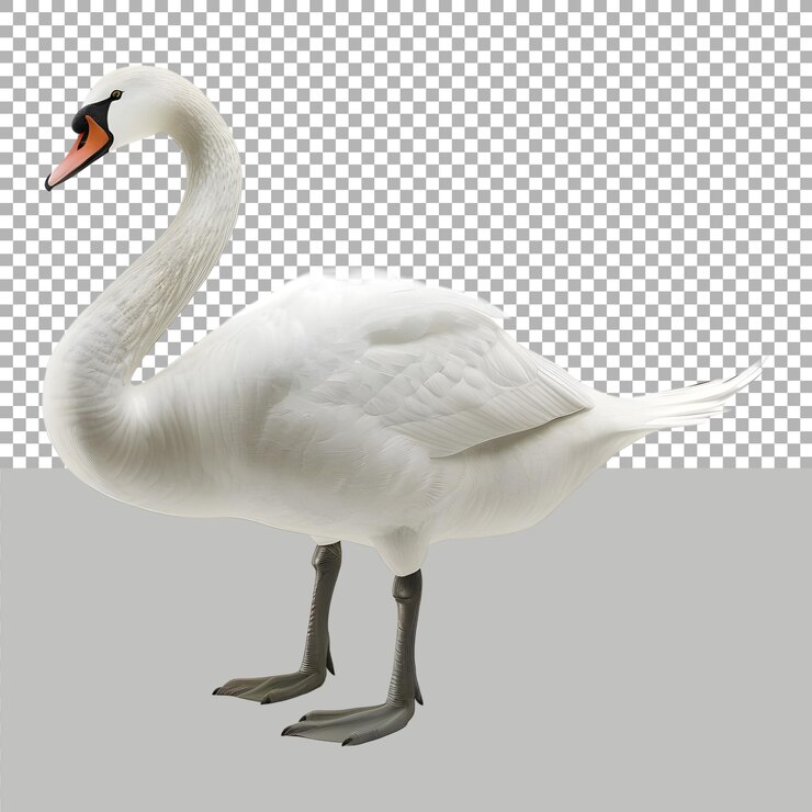 PSD cisne blanco en fondo transparente generado por ai