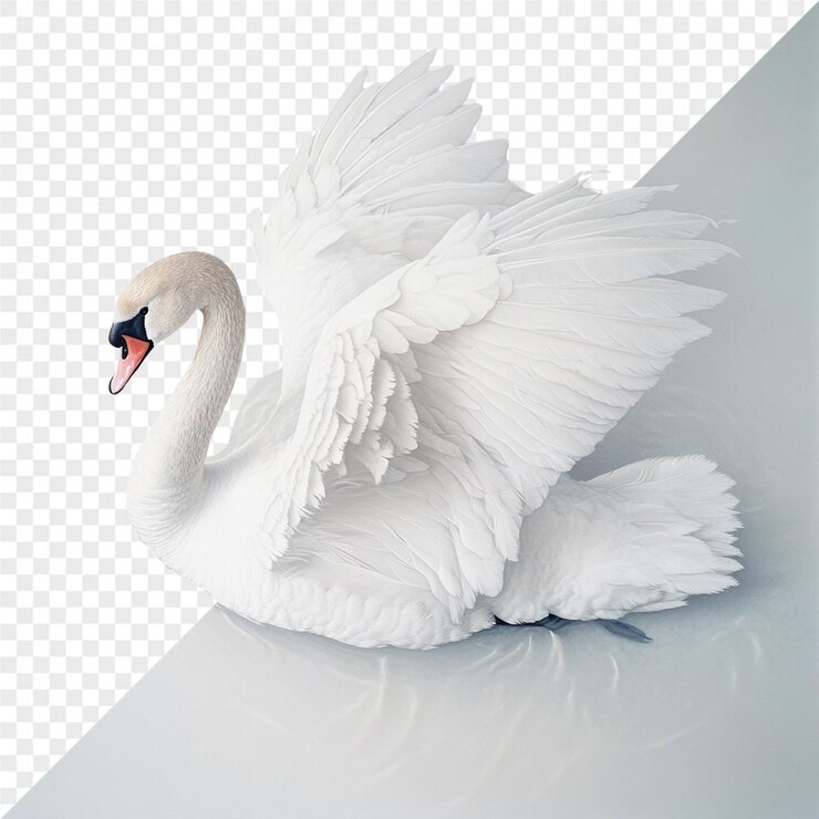 PSD un cisne con un pico que dice " cisne " en su lado