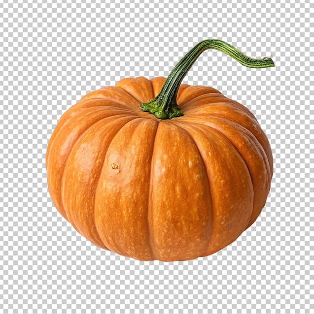Une citrouille parfaite.