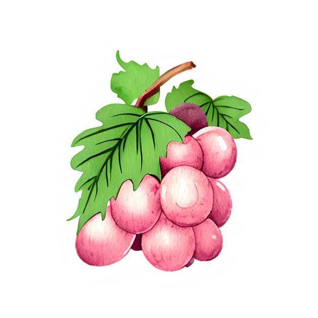 PSD clipart de conception d'illustration des raisins