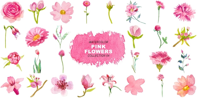 Clipart de fleurs roses peintes à l'aquarelle avec des éléments dessinés à la main isolés sur un fond transparent