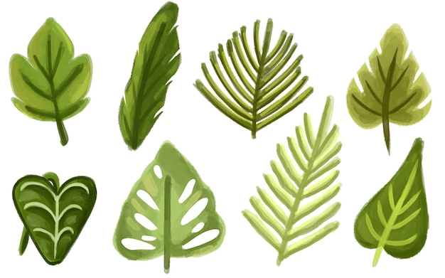 Clipart-Satz aus grünen Blättern und Pflanzen mit Laub im Aquarell-Malerei-Stil