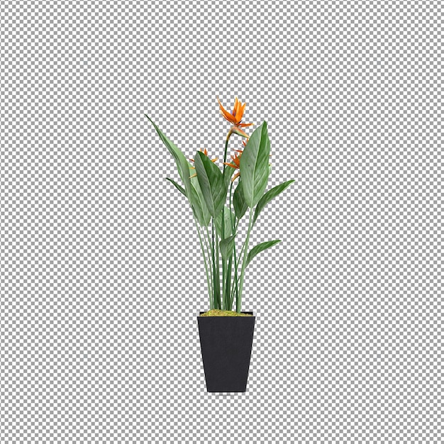 Close-up de flor em um vaso renderização 3D