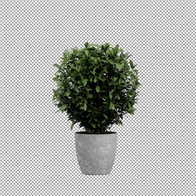 Close-up de flor em um vaso renderização 3D