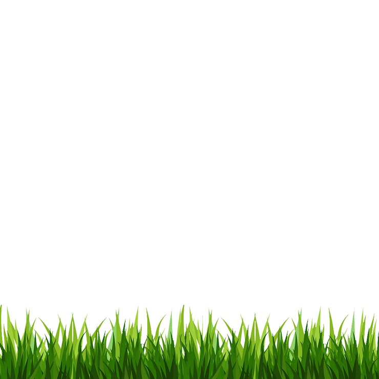 PSD close-up de grama verde com fundo branco