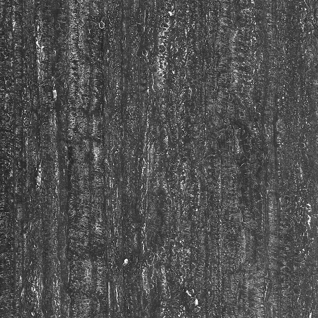 Close-up della consistenza del grano di legno scuro