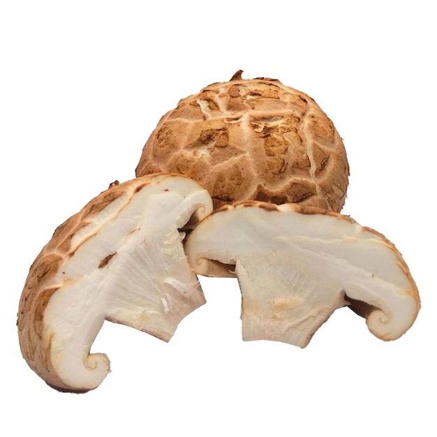 Close-up di funghi shiitake tagliati freschi che mostrano la consistenza dei cappelli isolati su sfondo bianco