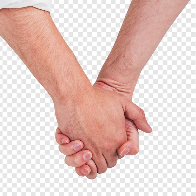 Close-up di una coppia omosessuale che si tiene per mano isolata su uno sfondo trasparente