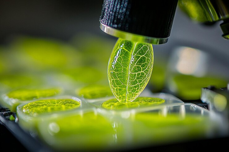 PSD close-up di una singola foglia sotto un microscopio circondata da altre foglie in un ambiente di laboratorio