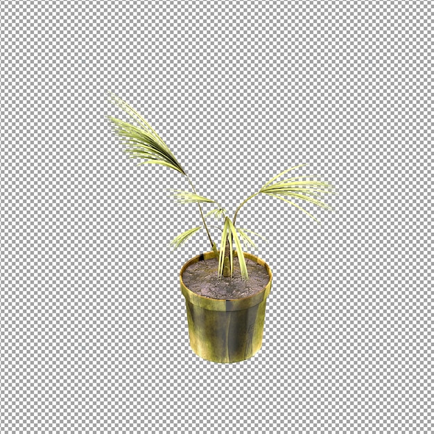 Close-up em uma flor em um vaso em renderização 3d