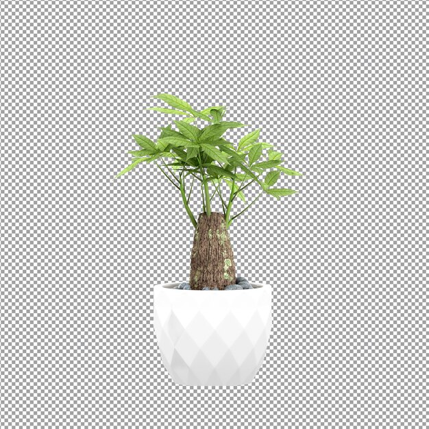 PSD close-up em uma flor em um vaso. renderização 3d