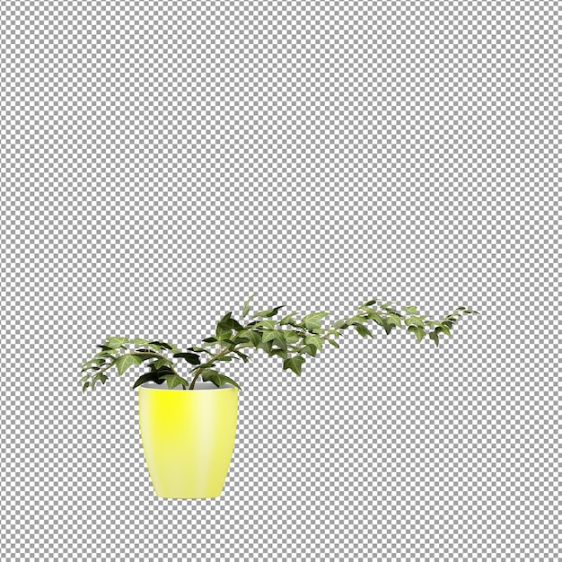 Close-up em uma flor em um vaso. renderização 3d