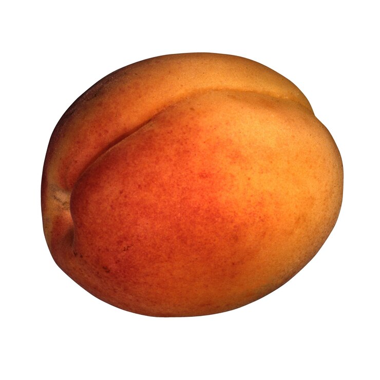 PSD close-up of a ripe apricot