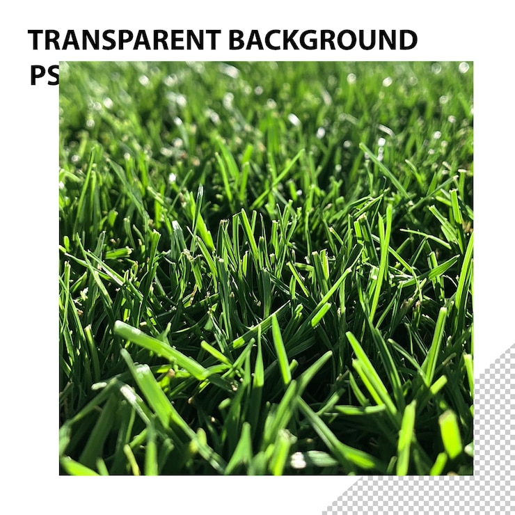 PSD close-up of green grass