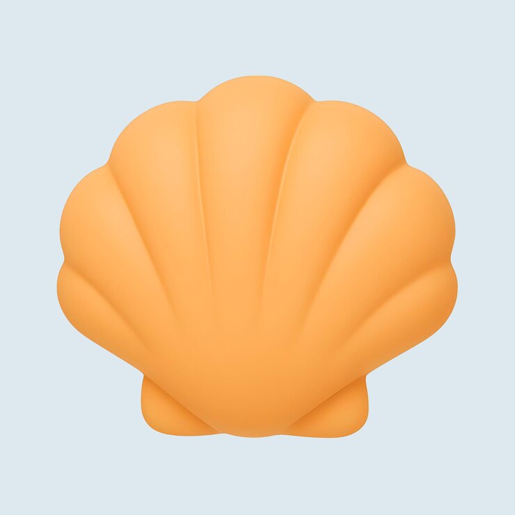 PSD close-up of a vibrant orange seashell against a light blue background