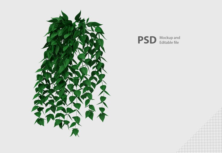 PSD close up on plant isolated