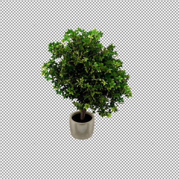 Close up pada bunga di dalam vas dalam rendering 3D