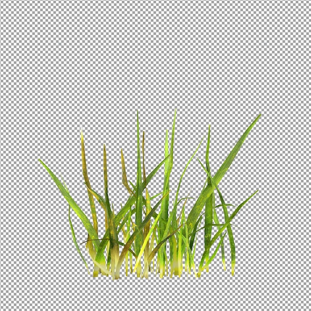 Close up pada bunga di dalam vas render 3D