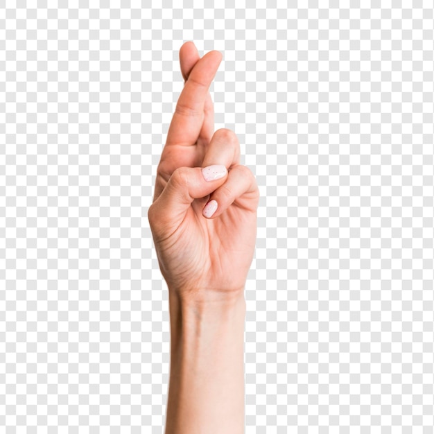 Closeup hand gesturing sign language isolated on white isolated on transparent background