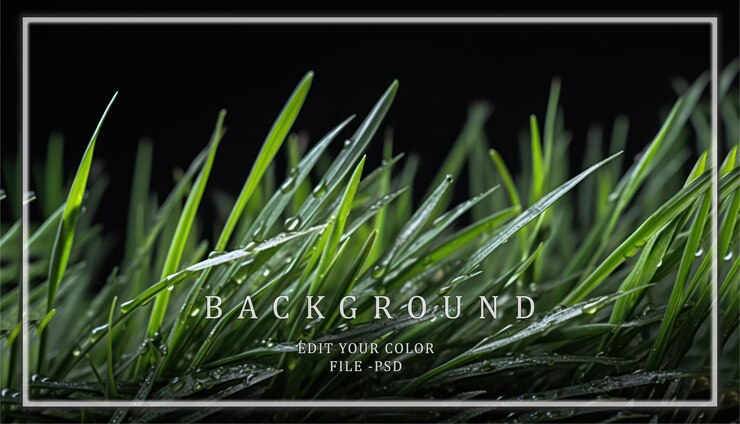 PSD closeup of dewy green grass blades