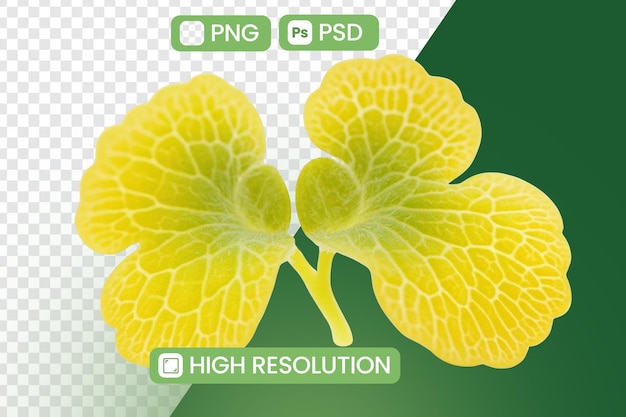 closeup of Vibrant Leaves against Green Backdrop with High Resolution Concept