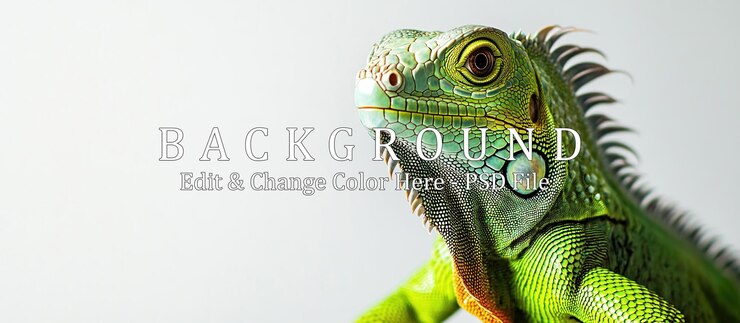 PSD closeup portrait of a green iguana
