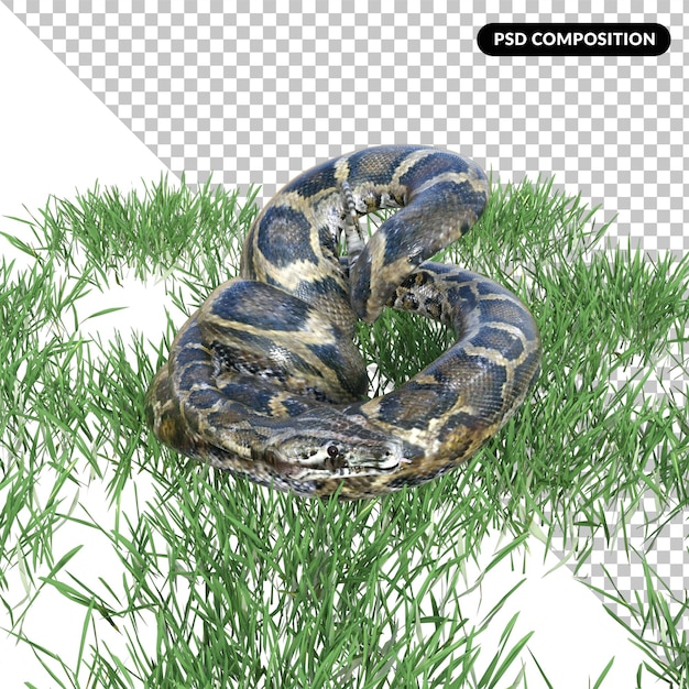 Cobra animal isolado 3d