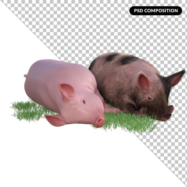 Cochon Dans Une Herbe Isolée 3d