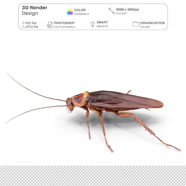 Cockroach 3D Modeling PSD File Realistic Cockroach