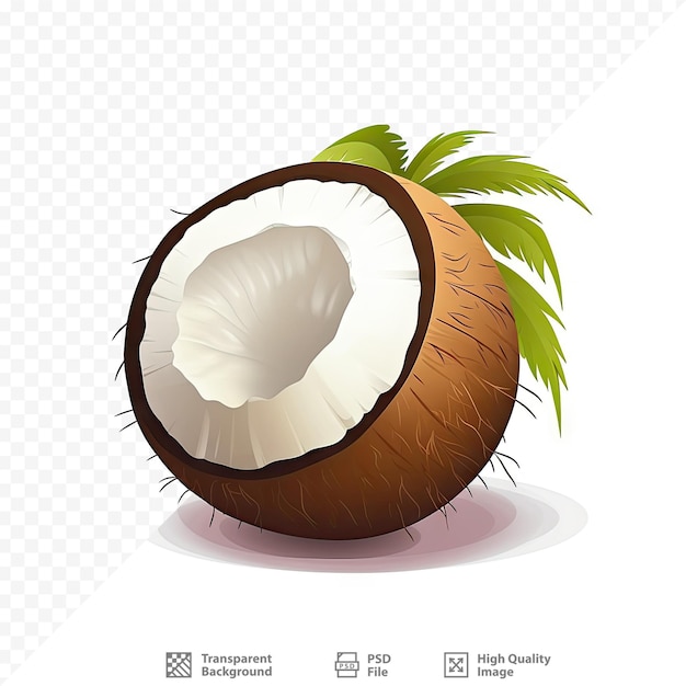 PSD un coco con una palmera en la pantalla.