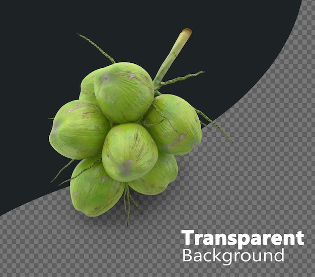 coco verde sobre un fondo transparente
