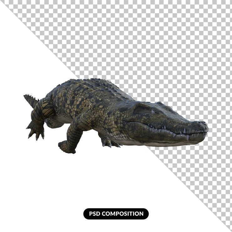 PSD cocodrilo aislado render 3d