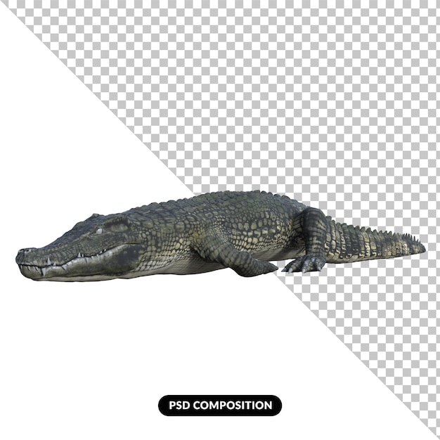 Cocodrilo aislado render 3d