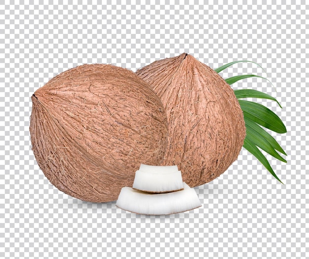 Cocos y algunas piezas de con hojas aisladas Premium psd.