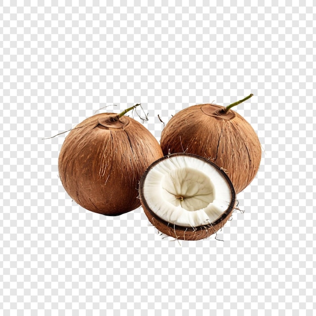 Cocos castanhos frescos Frutas tropicais meio cortadas Carne branca Folha verde