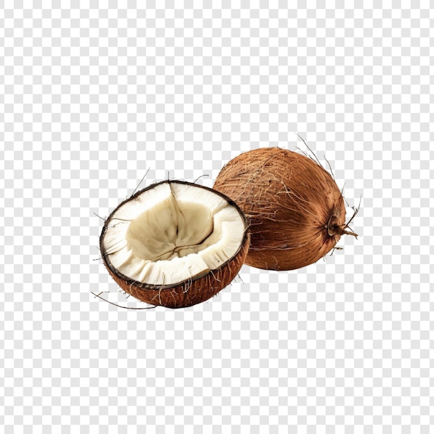 Cocos castanhos frescos Frutas tropicais meio cortadas Carne branca Folha verde