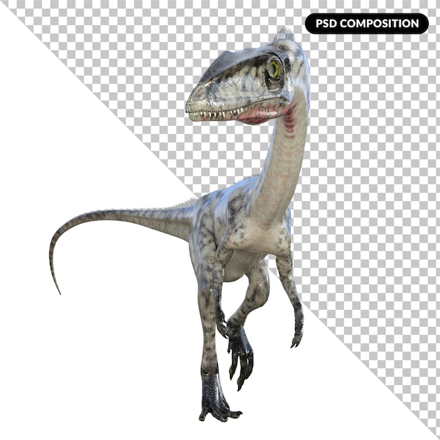 Coelophysis-Dinosaurier isoliert 3D-Rendering