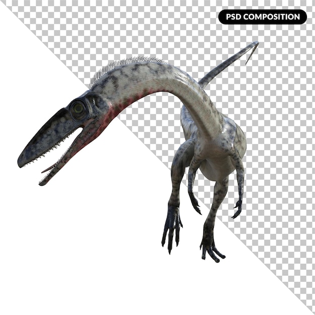 Coelophysis-Dinosaurier isoliert 3D-Rendering