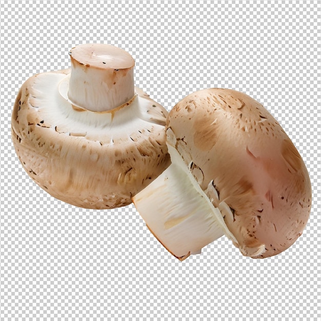 Cogumelos champignon em fundo transparente