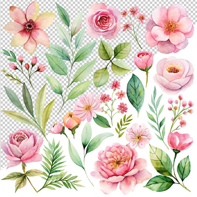 PSD coleção de aquarelas de um rosa floral brilha em fundo transparente