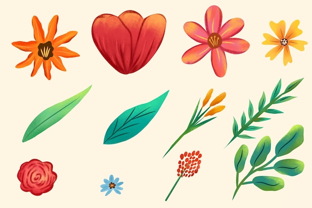 coleção de clipart de arranjos de flores e folhas ilustração a água cor de clipart flor